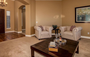 Screen Shot 2017-01-25 at 12.14.47 PM (1)